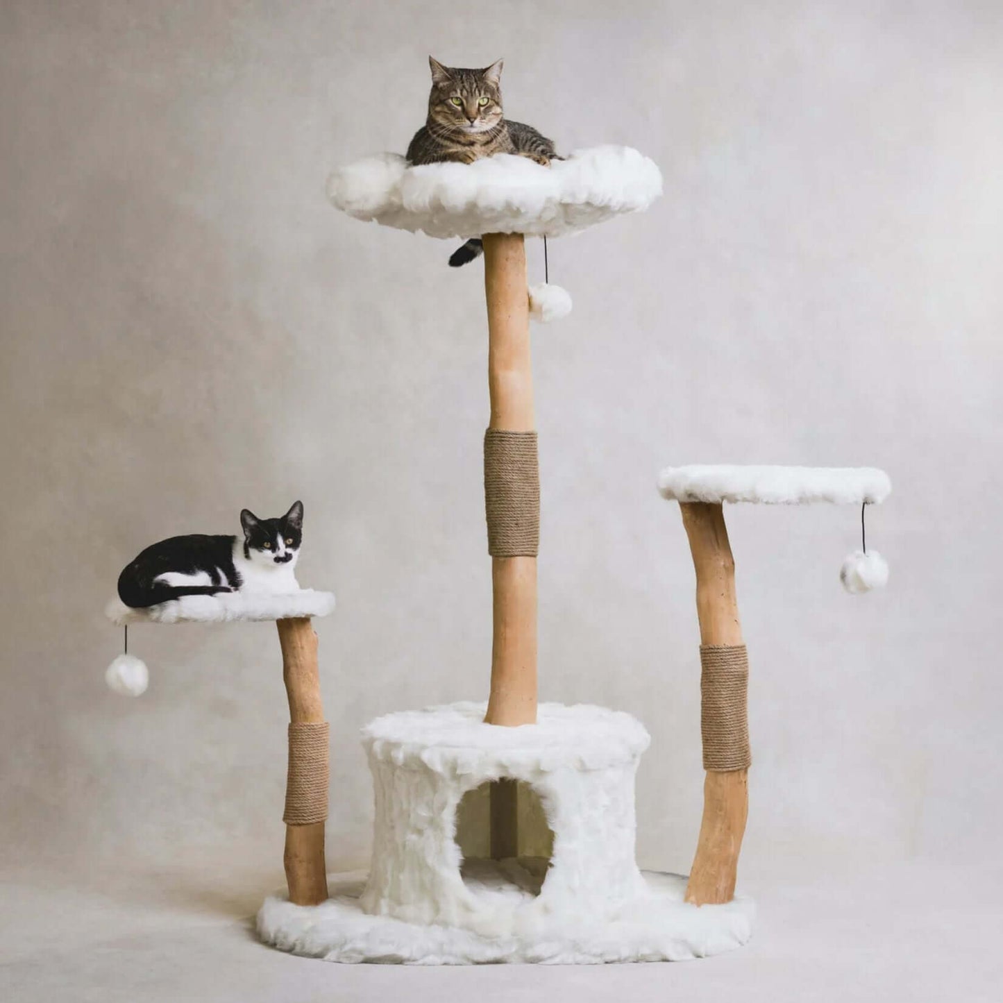 Cat Tree Plush Wooden | W31.5 x H50 in | Multi-Level Tower | Scratching Posts | Pawberry Road
