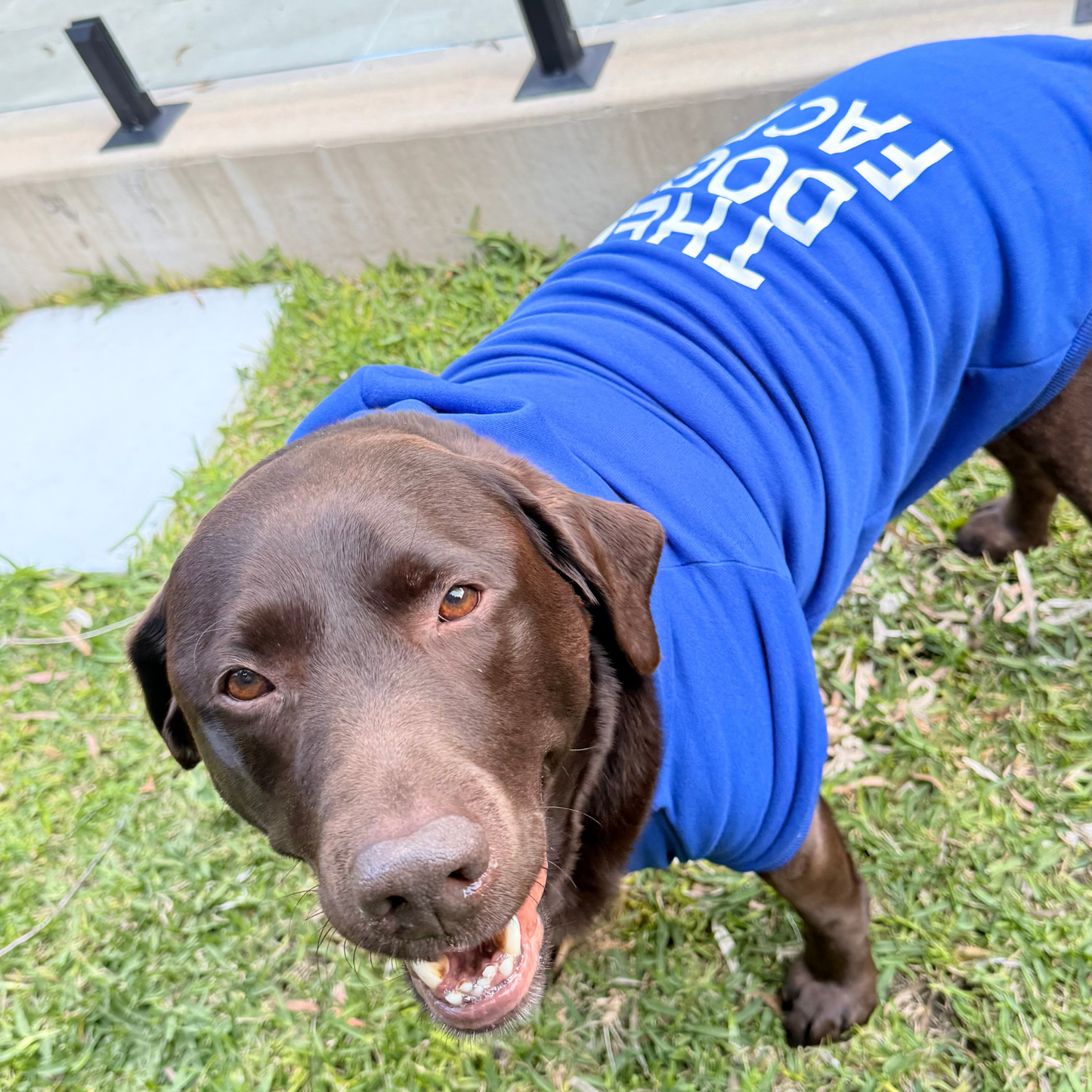 Dog Warm Hoodie | XS - XL | Soft Fleece Winter Jacket | Small to Medium Dogs | Pawberry Road