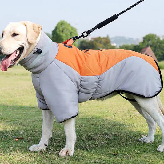 Dog Coat – Waterproof Fabric – Medium 20 × 15 Inches – All-Weather Protection for Outdoor Activities 0