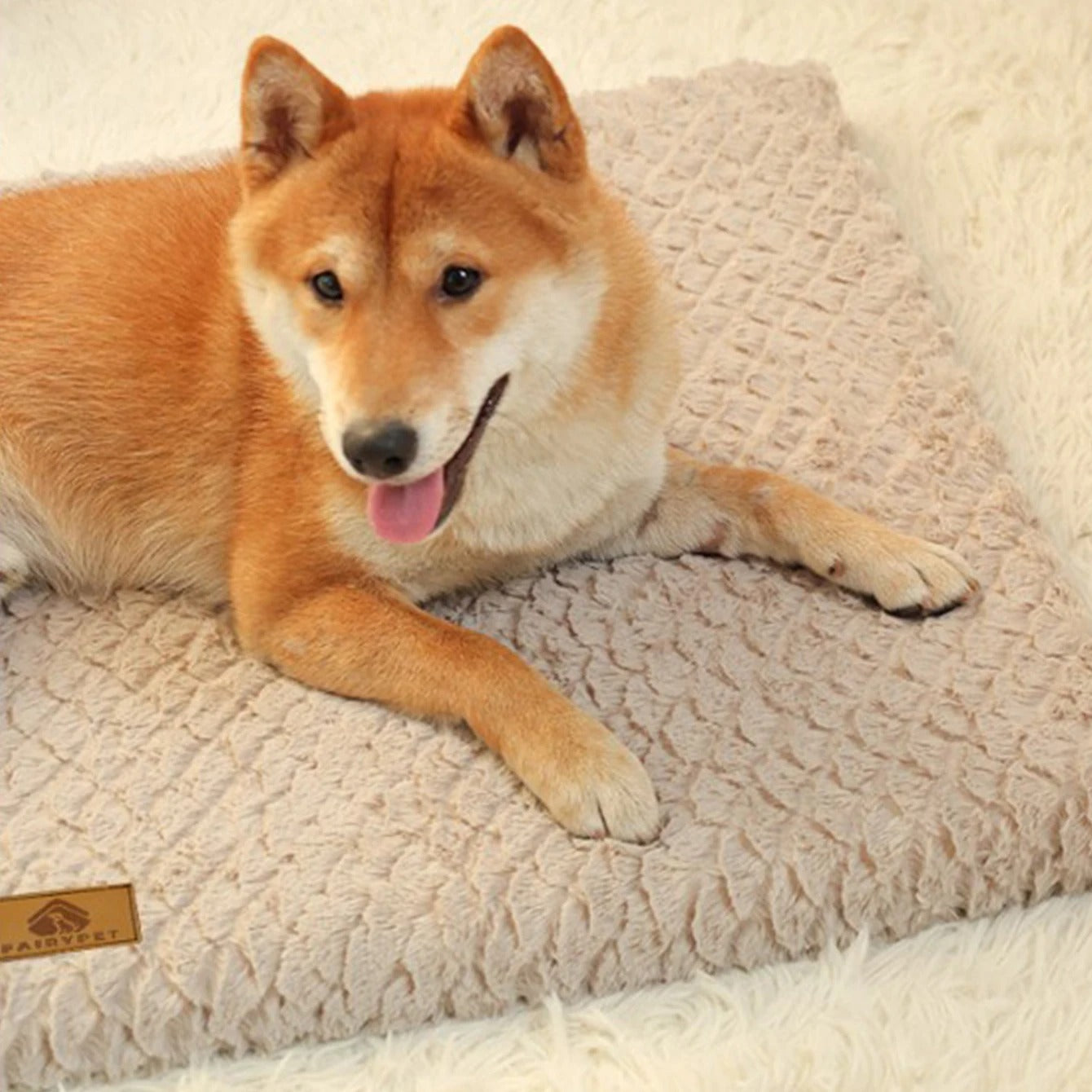 Dog Mat – Ultra-Soft Fabric – 30 × 40 Inches – Cushioned Comfort for Crate or Home Use 5
