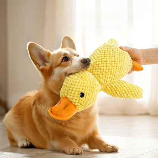 Dog Plush Duck Toy | 9.8 x 8.7 - 17.7 x 15 in | Squeaky Soft Comfort | Pawberry Road