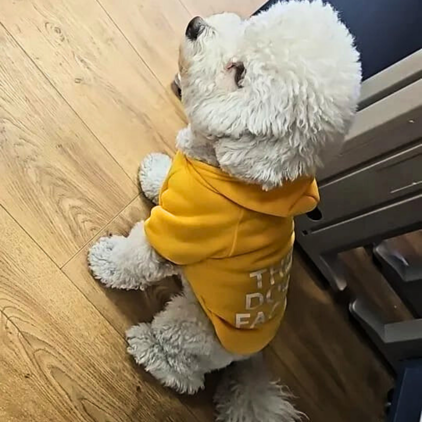 Dog Warm Hoodie | XS - XL | Soft Fleece Winter Jacket | Small to Medium Dogs | Pawberry Road