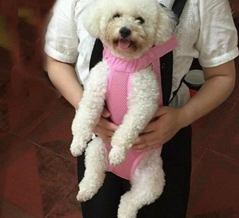 Easy-Fit Pet Carrier Backpack | 11 - 16.1 in | Adjustable Legs-Out Design | Breathable Mesh Panels | Pawberry Road