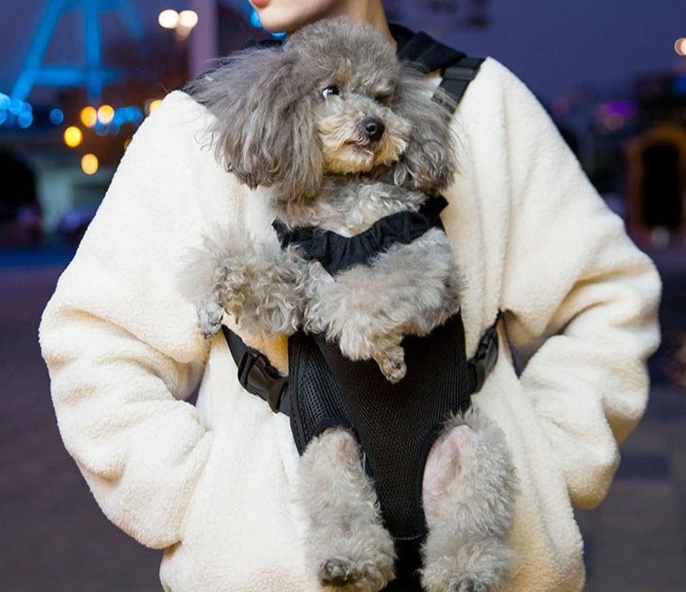 Easy-Fit Pet Carrier Backpack | 11 - 16.1 in | Adjustable Legs-Out Design | Breathable Mesh Panels | Pawberry Road