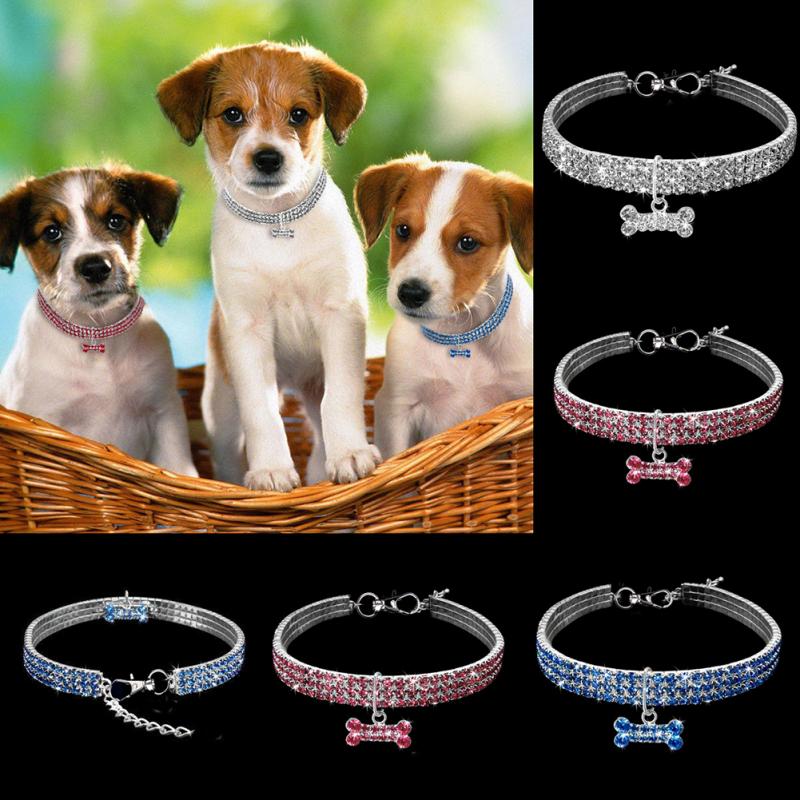 Sparkling Dog Collar | 9.8" - 13.8" | Stretchable | Fit for Small to Large Dogs | Pawberry Road