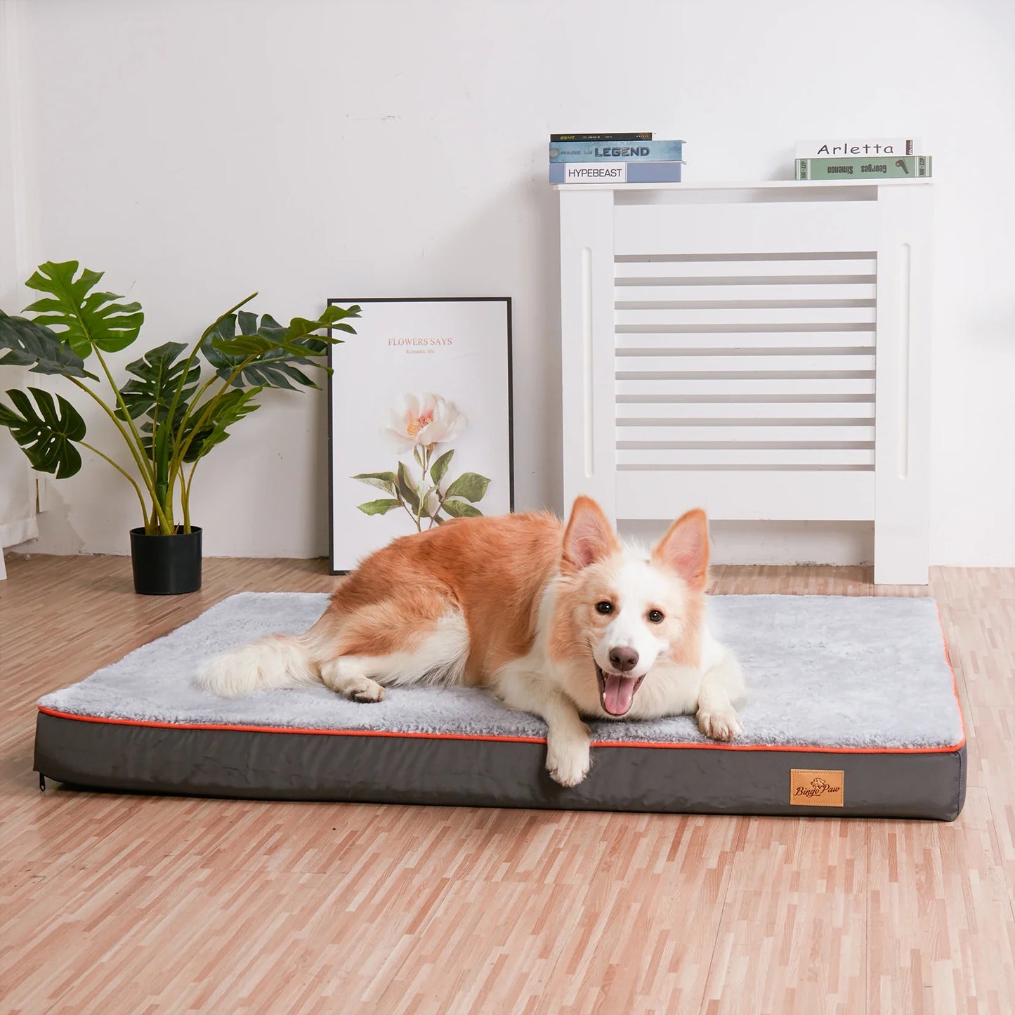 Dog Orthopedic Bed | M - 3XL | Memory Foam Comfort & Joint Support | Pawberry Road