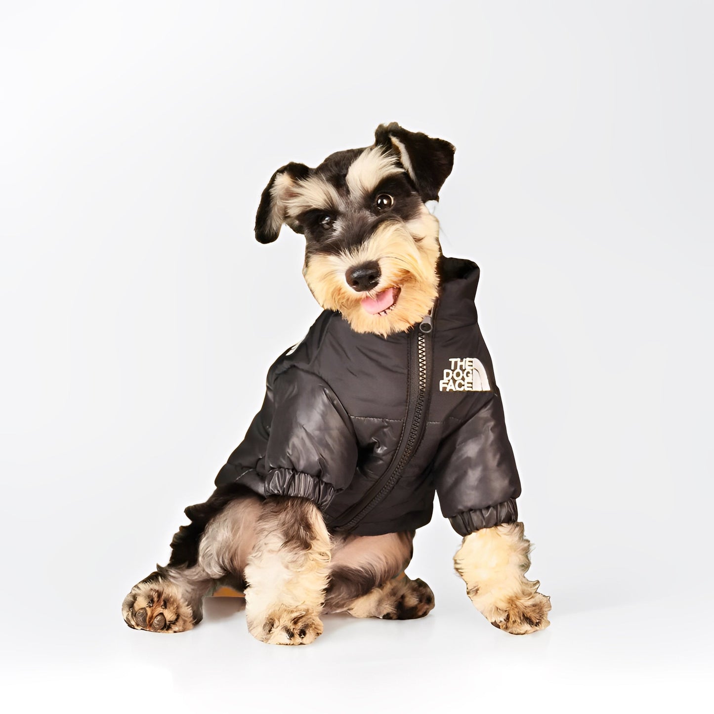 Dog Puffer Jacket | XS to 3XL | Winter Jacket | Waterproof, Insulated & Stylish Cold Weather Coat | Pawberry Road