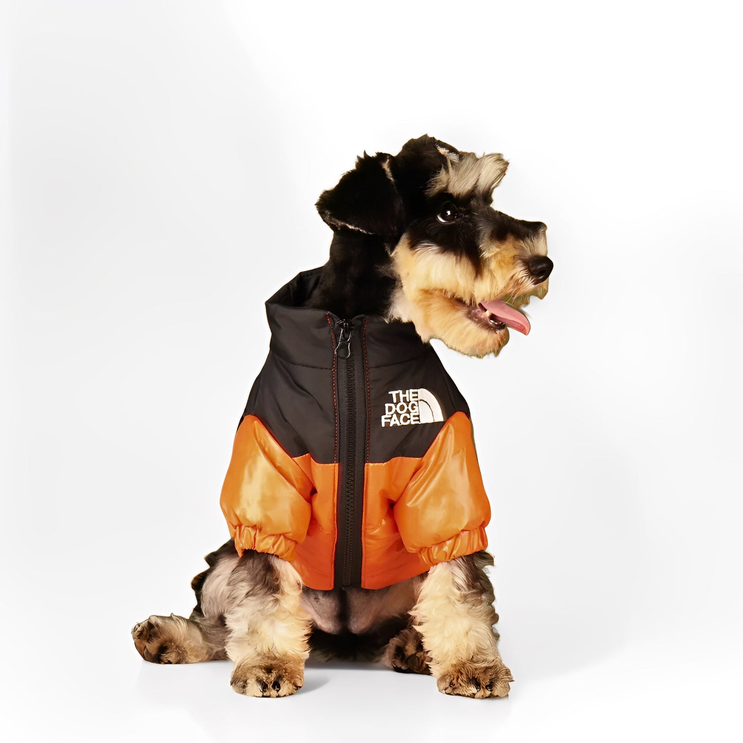 Dog Puffer Jacket | XS to 3XL | Winter Jacket | Waterproof, Insulated & Stylish Cold Weather Coat | Pawberry Road