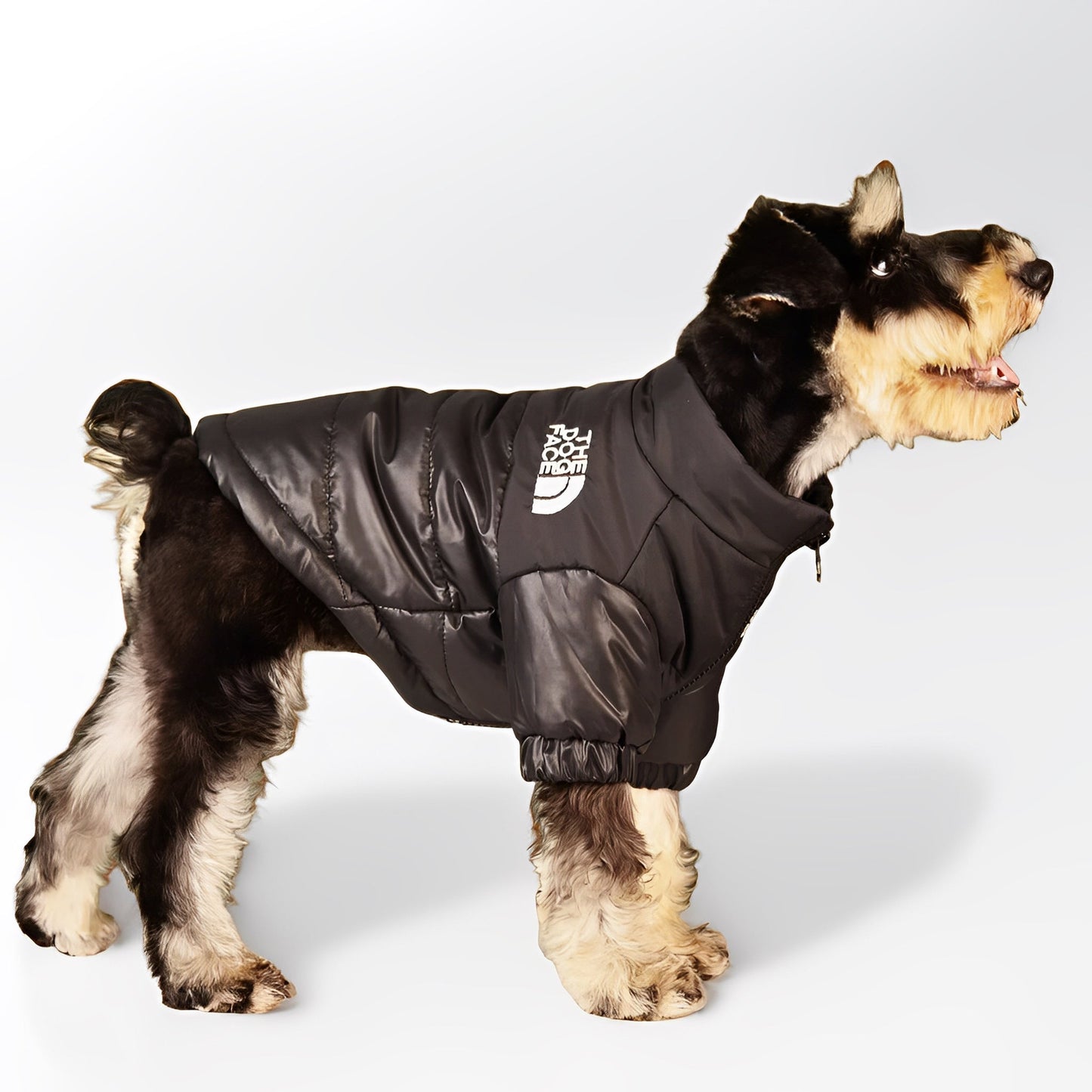 Dog Puffer Jacket | XS to 3XL | Winter Jacket | Waterproof, Insulated & Stylish Cold Weather Coat | Pawberry Road
