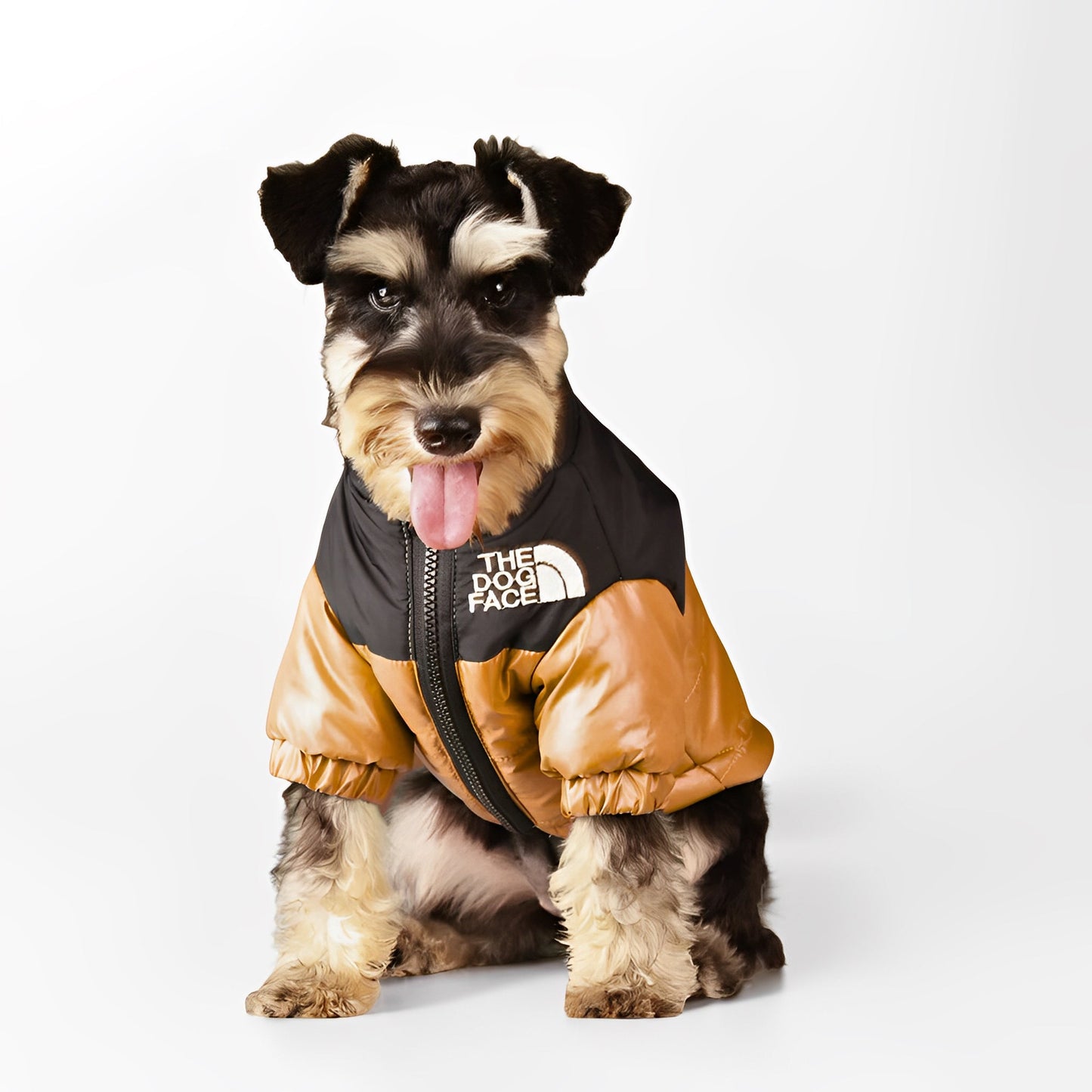 Dog Puffer Jacket | XS to 3XL | Winter Jacket | Waterproof, Insulated & Stylish Cold Weather Coat | Pawberry Road