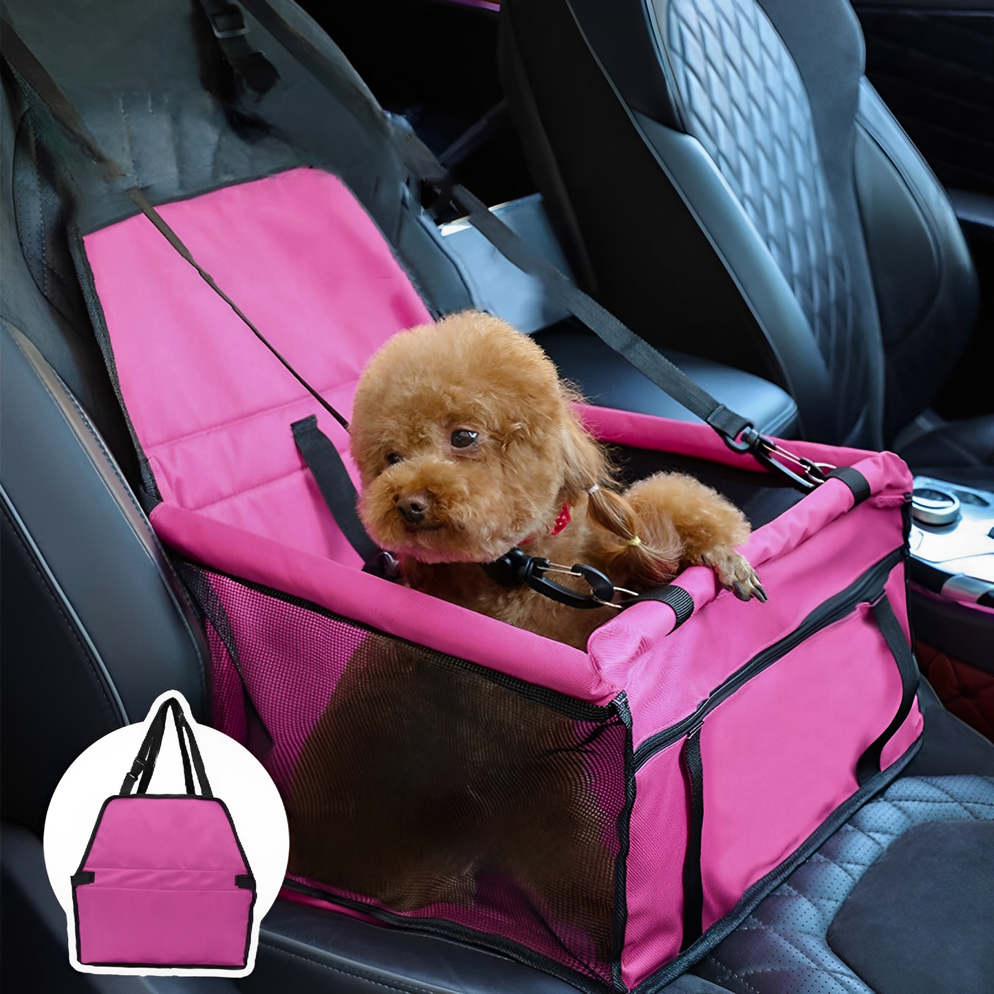 Foldable Dog Car Seat | Safe Booster | Small-Medium Dogs | Pawberry Road
