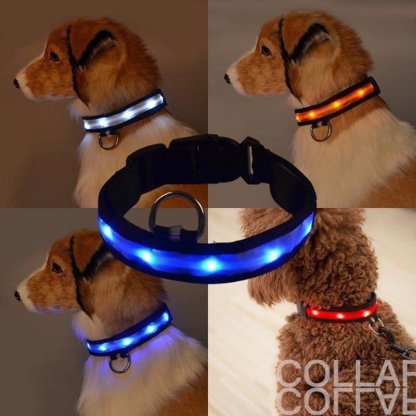 Pet LED Safety Collar | 10–20 in | USB Rechargeable | Adjustable Fit | Pawberry Road