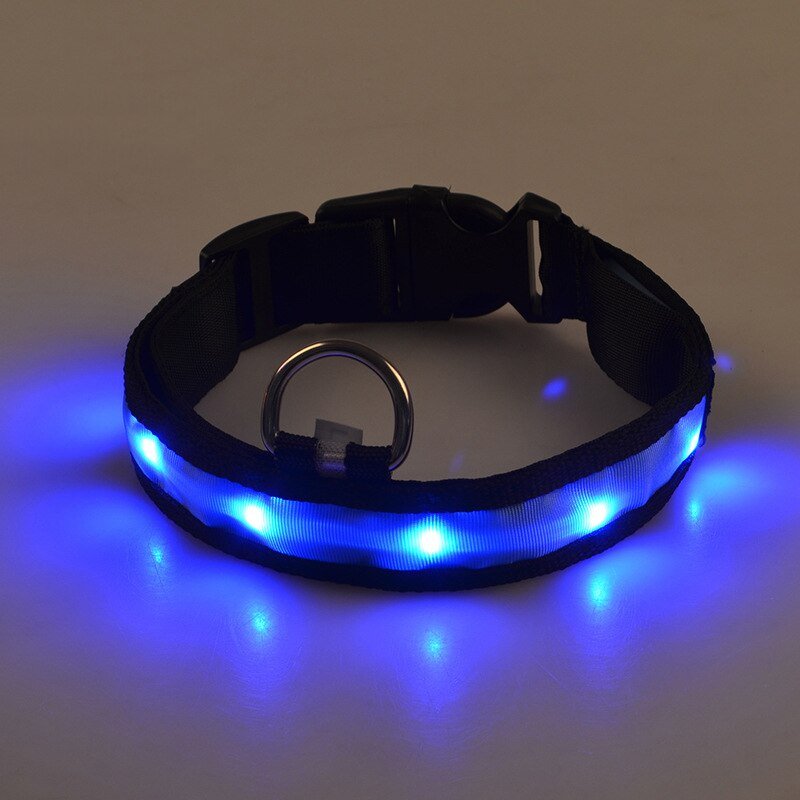 Pet LED Safety Collar | 10–20 in | USB Rechargeable | Adjustable Fit | Pawberry Road