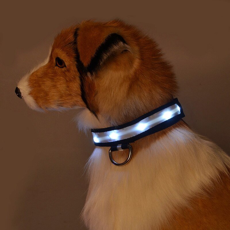 Pet LED Safety Collar | 10–20 in | USB Rechargeable | Adjustable Fit | Pawberry Road
