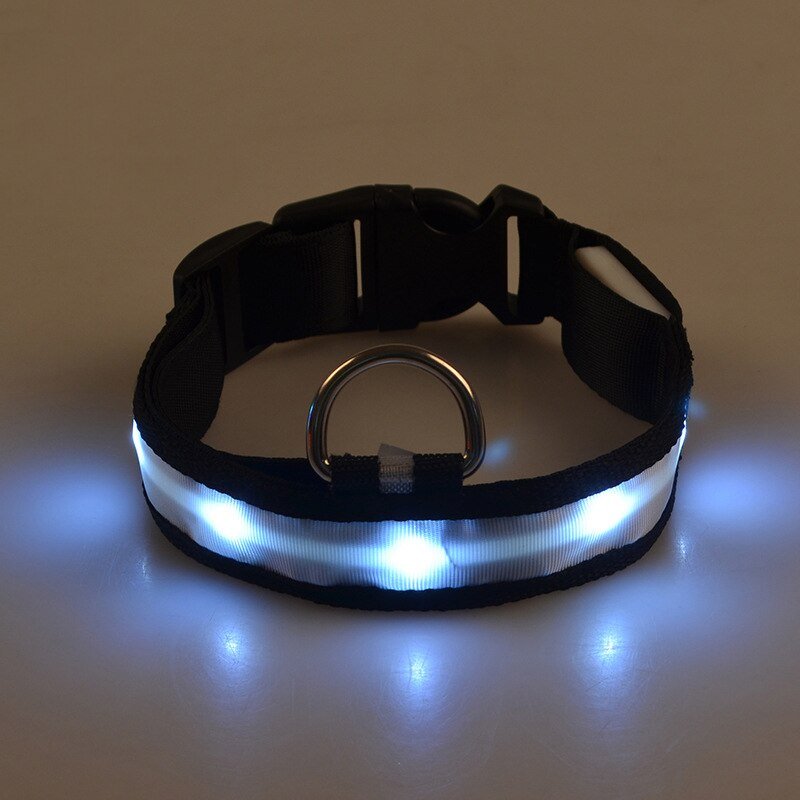 Pet LED Safety Collar | 10–20 in | USB Rechargeable | Adjustable Fit | Pawberry Road