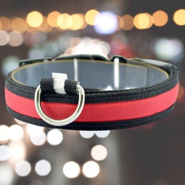 Pet LED Safety Collar | 10–20 in | USB Rechargeable | Adjustable Fit | Pawberry Road