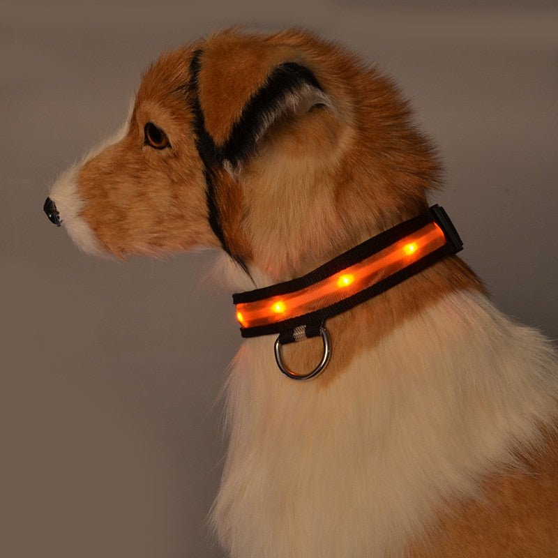 Pet LED Safety Collar | 10–20 in | USB Rechargeable | Adjustable Fit | Pawberry Road