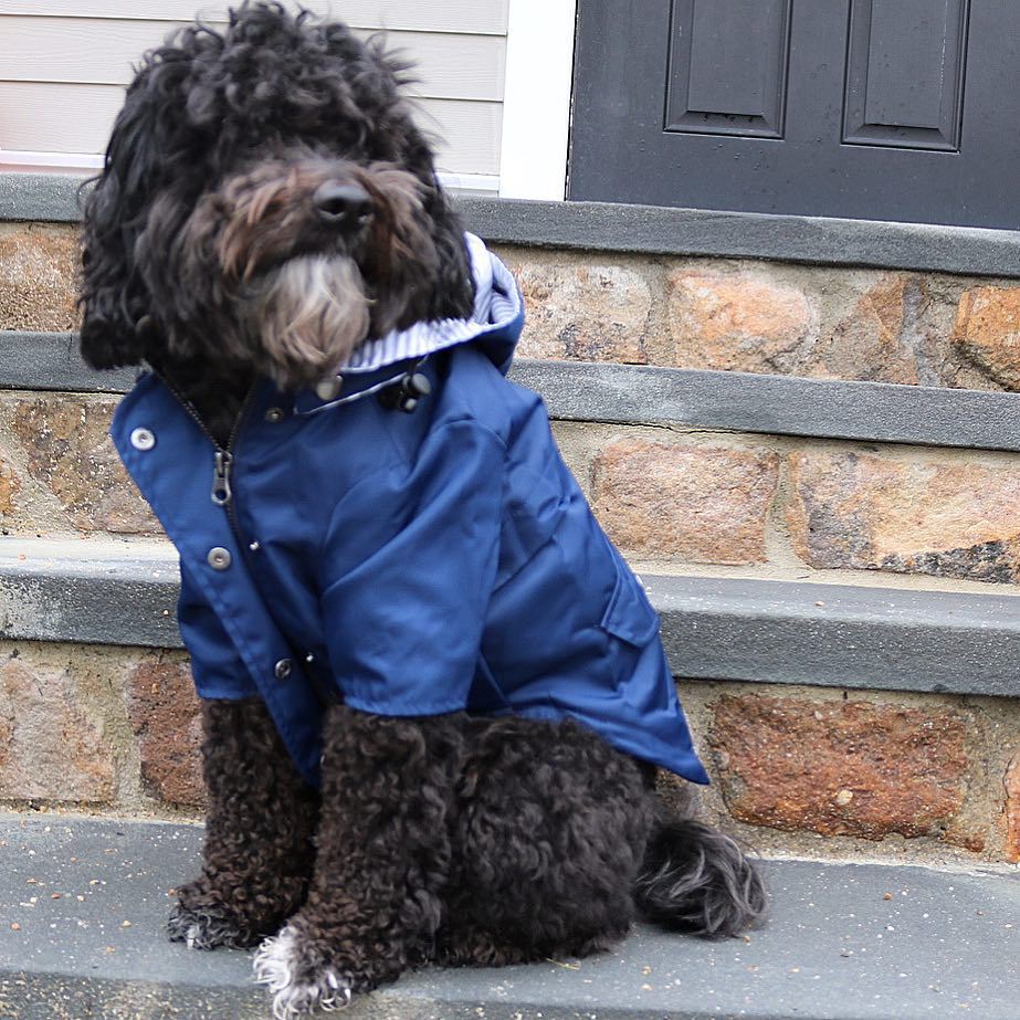 Retro Dog Raincoat | S - 5XL | Waterproof & Windproof | Hood & Drawstring | Pawberry Road