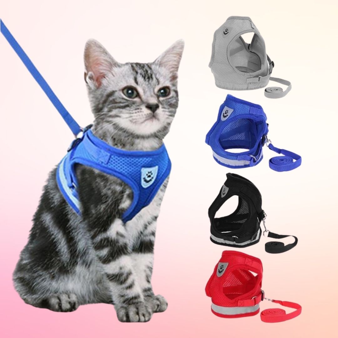 Pet Harness with Leash | 10.2 - 20.5 in | Reflective, Adjustable Fit | Durable Comfort | Pawberry Road