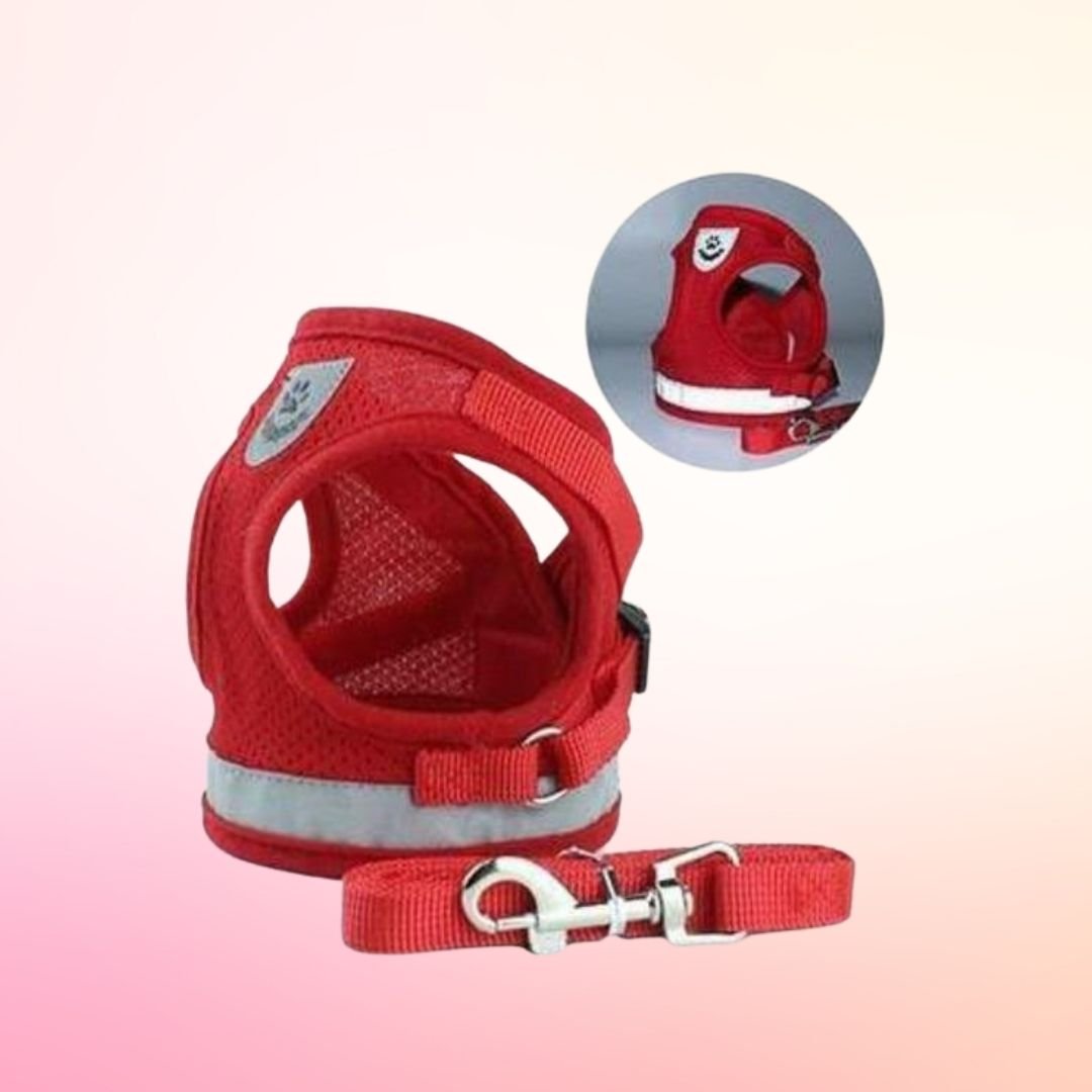 Pet Harness with Leash | 10.2 - 20.5 in | Reflective, Adjustable Fit | Durable Comfort | Pawberry Road