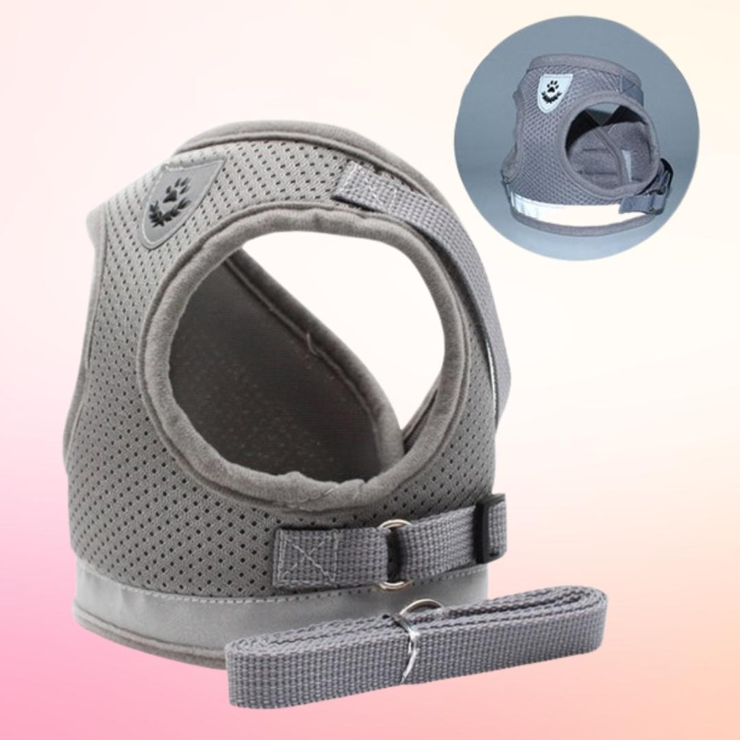 Pet Harness with Leash | 10.2 - 20.5 in | Reflective, Adjustable Fit | Durable Comfort | Pawberry Road