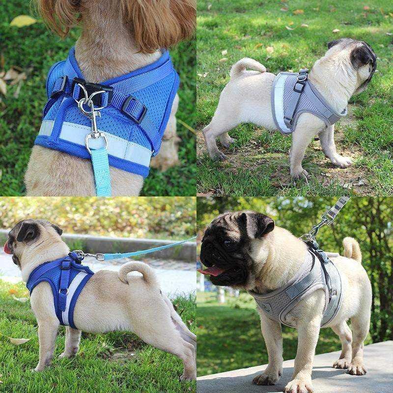 Pet Harness with Leash | 10.2 - 20.5 in | Reflective, Adjustable Fit | Durable Comfort | Pawberry Road