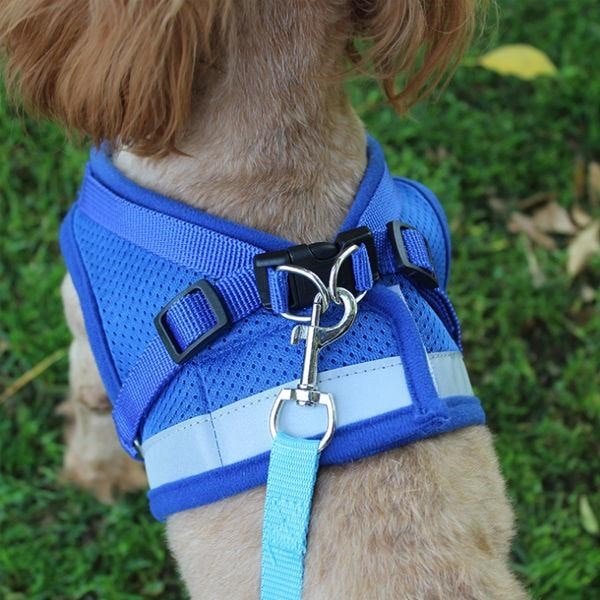 Pet Harness with Leash | 10.2 - 20.5 in | Reflective, Adjustable Fit | Durable Comfort | Pawberry Road