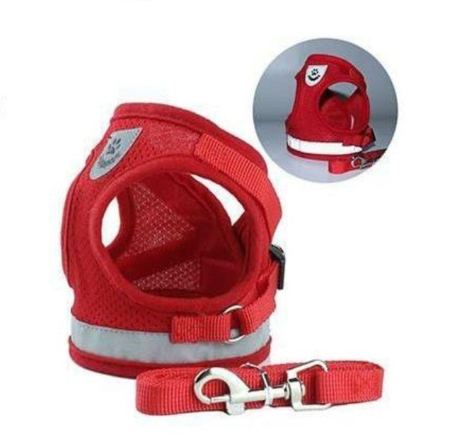 Pet Harness with Leash | 10.2 - 20.5 in | Reflective, Adjustable Fit | Durable Comfort | Pawberry Road