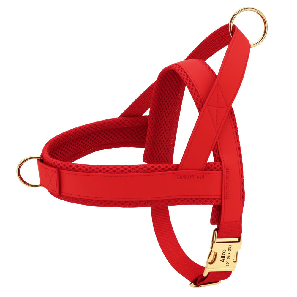 Dog Personalized Harness | XS - XL | Engraved, Adjustable & Comfortable | Pawberry Road