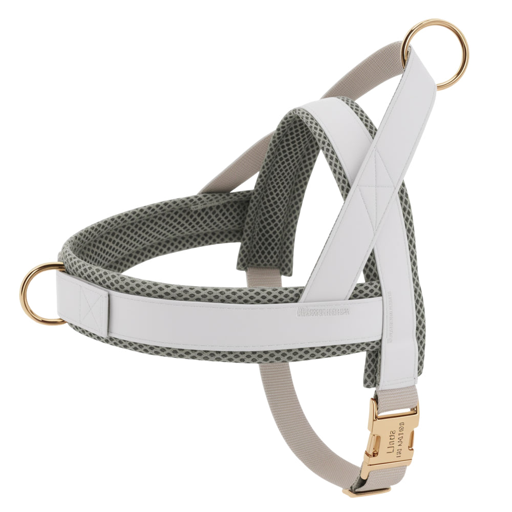 Dog Personalized Harness | XS - XL | Engraved, Adjustable & Comfortable | Pawberry Road