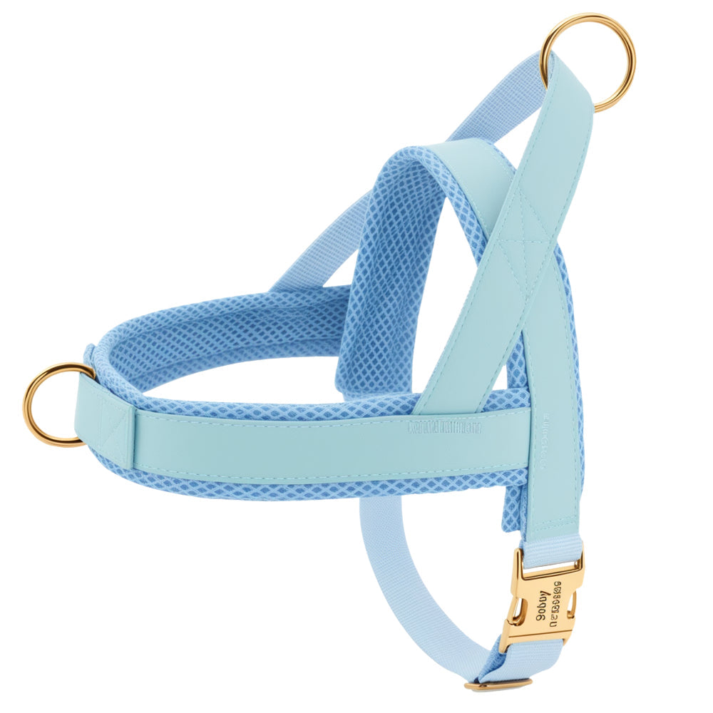 Dog Personalized Harness | XS - XL | Engraved, Adjustable & Comfortable | Pawberry Road