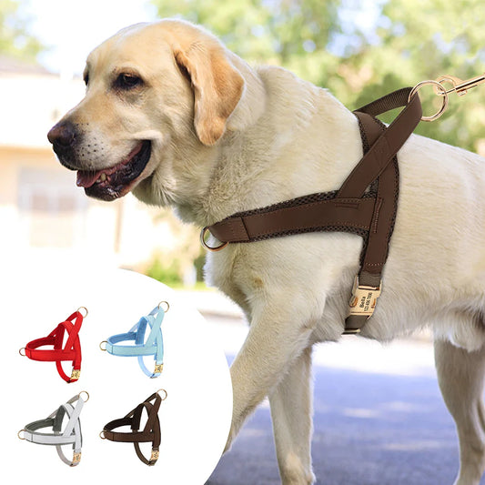 Dog Personalized Harness | XS - XL | Engraved, Adjustable & Comfortable | Pawberry Road
