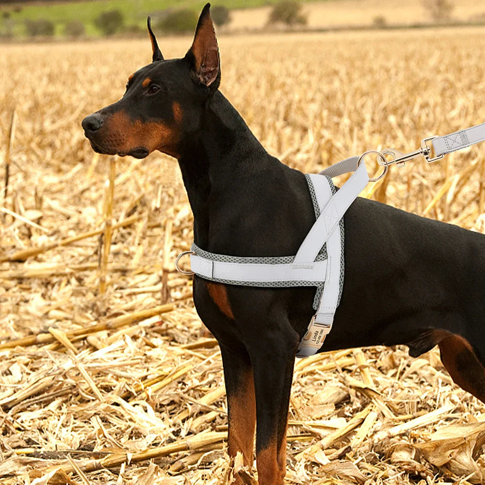 Dog Personalized Harness | XS - XL | Engraved, Adjustable & Comfortable | Pawberry Road