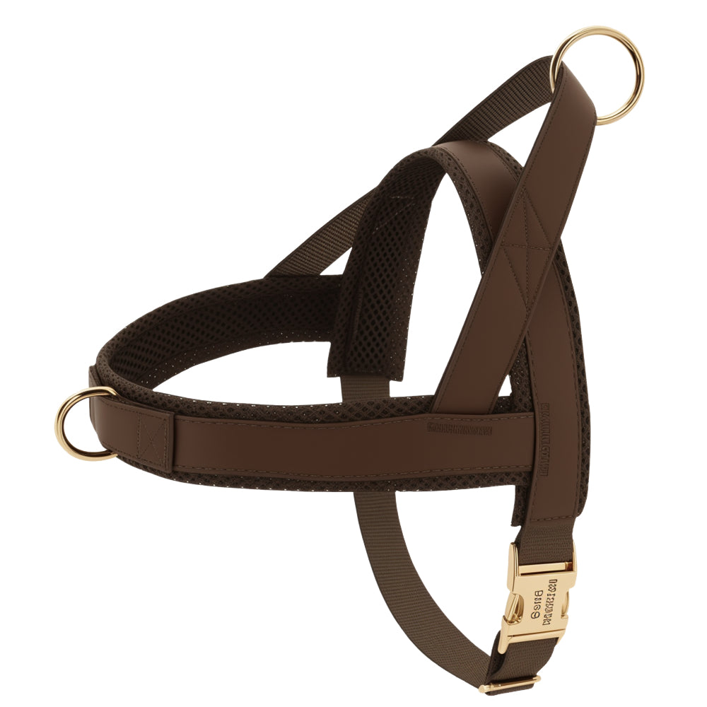 Dog Personalized Harness | XS - XL | Engraved, Adjustable & Comfortable | Pawberry Road