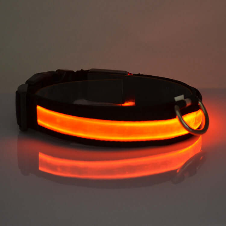 SafeGlow LED Cat Collar | XS - L Adjustable Length | 7-Color Light | USB Rechargeable | Pawberry Road