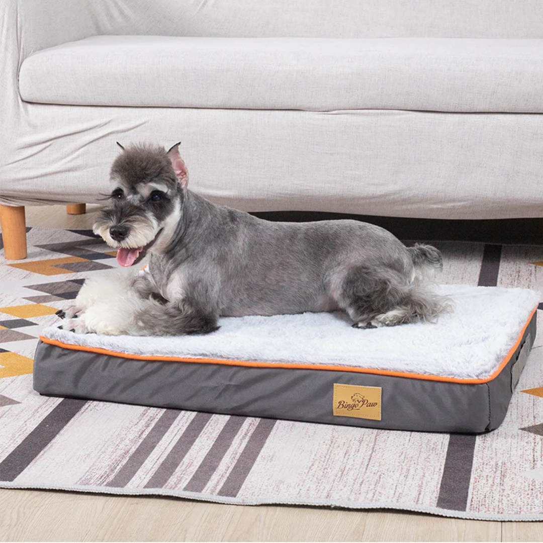 Dog Orthopedic Bed | M - 3XL | Memory Foam Comfort & Joint Support | Pawberry Road