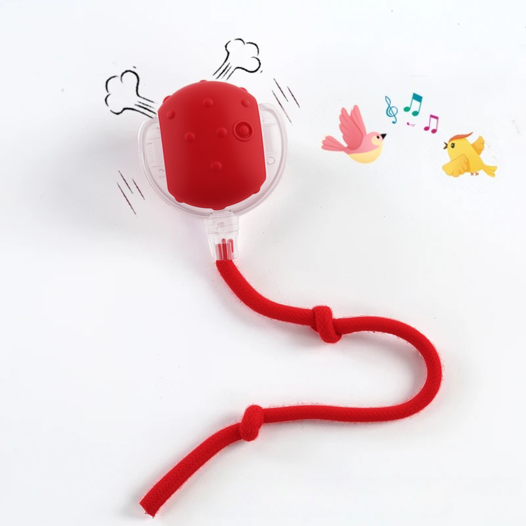 Dog Smart Interactive Ball | 3 in |Automatic Rolling | Obstacle Avoidance | Pawberry Road