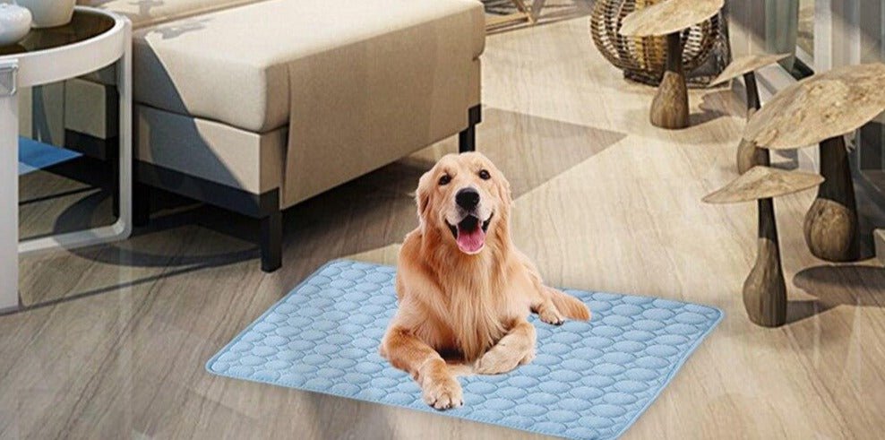 Pet Cooling Mat | S - 2XL | Pressure-Activated | Soft & Portable | Pawberry Road