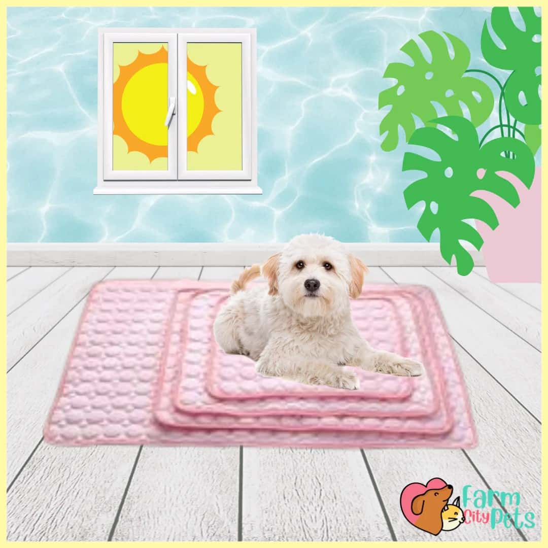 Pet Cooling Mat | S - 2XL | Pressure-Activated | Soft & Portable | Pawberry Road