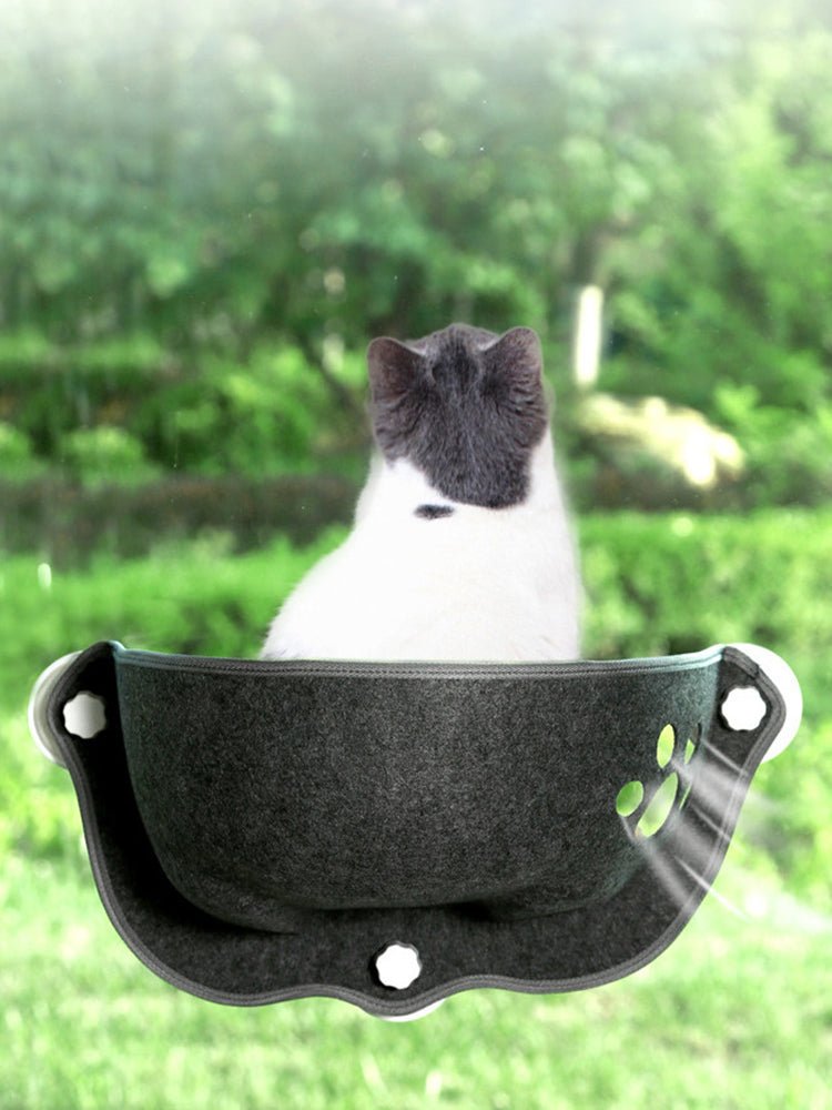 Window Cat Hammock | 19.7" × 9.8" | Foldable Suction Mount | Cozy & Durable | Pawberry Road