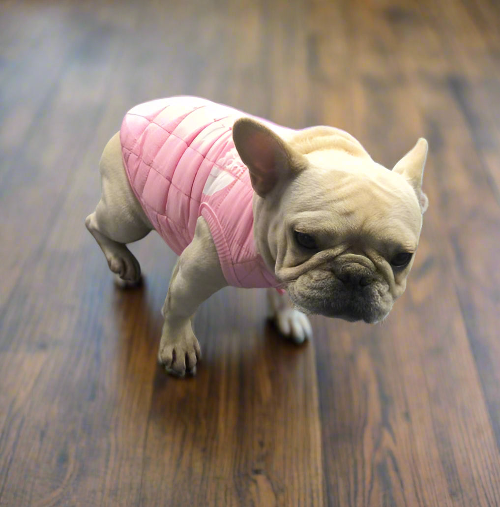 Dog Puffer Vest | Small Dog Jacket | XS - 2XL | Fleece-Lined & Windproof | Pawberry Road