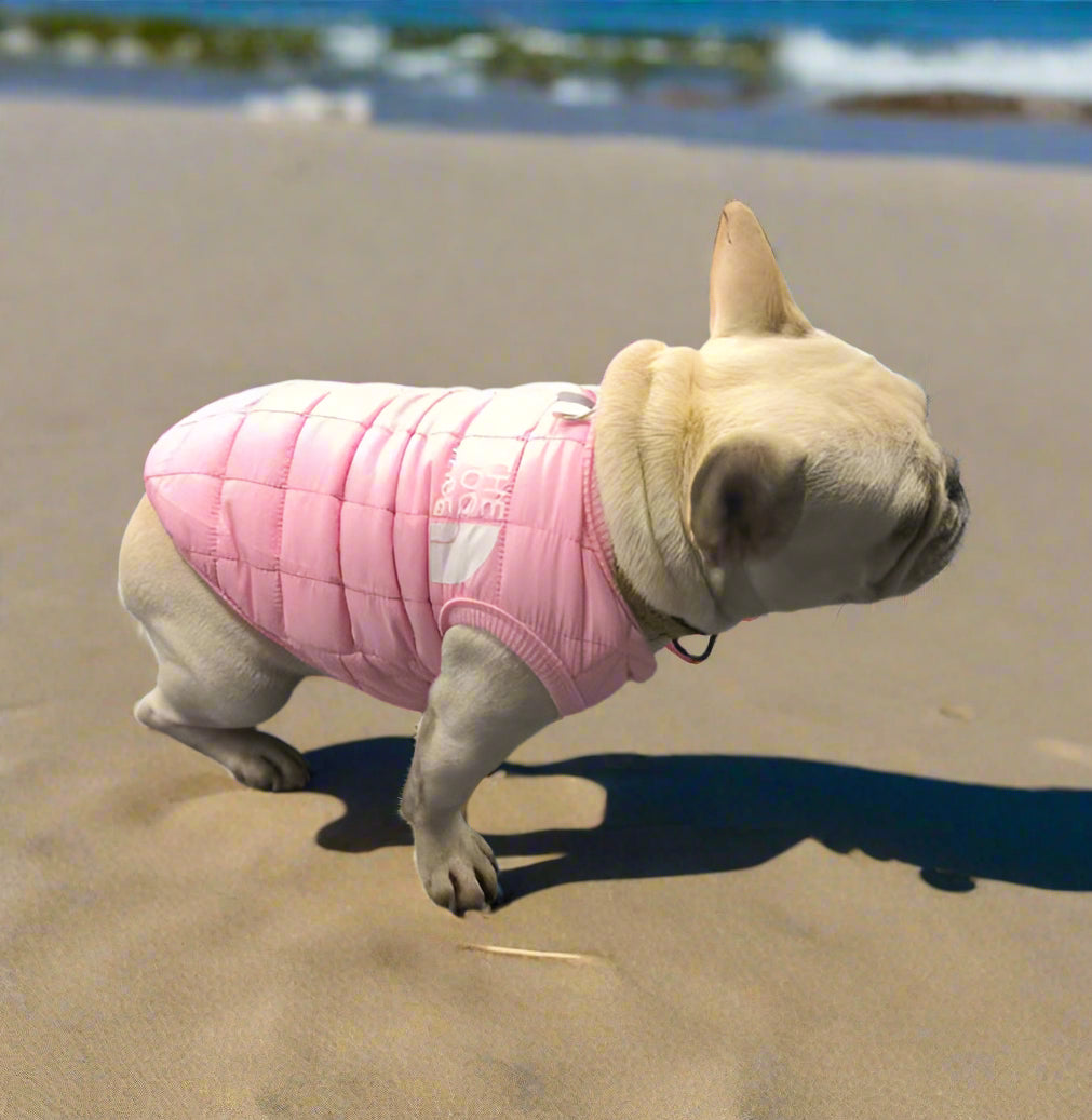 Dog Puffer Vest | Small Dog Jacket | XS - 2XL | Fleece-Lined & Windproof | Pawberry Road