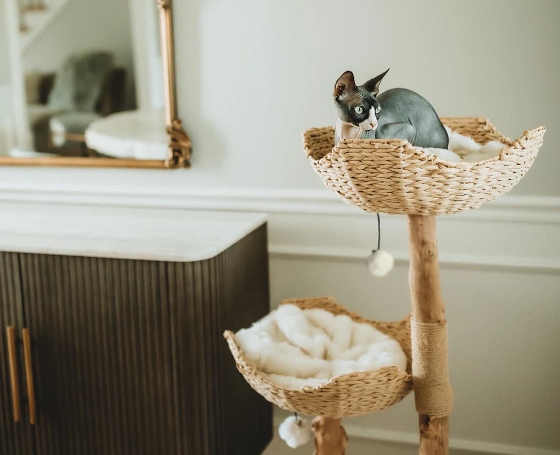 Cat Tree Tower with Scratch Posts | Height 45.5 in | Multi-Level Wood Cat Furniture | Plush Baskets | Pawberry Road