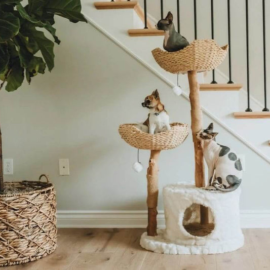 Cat Tree Tower with Scratch Posts | Height 45.5 in | Multi-Level Wood Cat Furniture | Plush Baskets | Pawberry Road