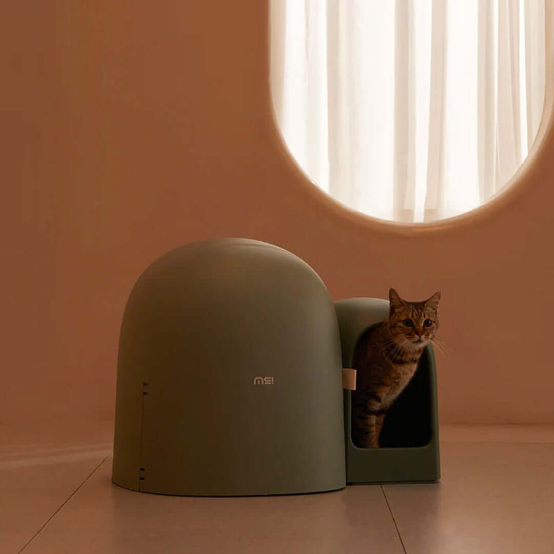 Cat Litter Box with Movable Tray | 26.8 x 19.3 x 19.3 in | Enclosed Modern Design | Moss Green | Odor Control | Pawberry Road