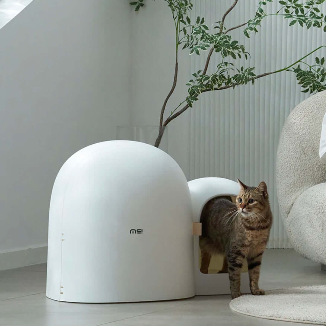 Cat Litter Box | 26.8 x 19.3 x 19.3 in | Enclosed Modern Tray | White | Spacious & Easy-Clean | Pawberry Road