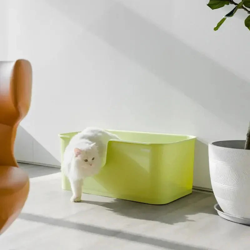Cat Mango Open Litter Tray | 31.3 x 19.1 x 13.2 in | Spacious Large Cat Litter Box | Pawberry Road