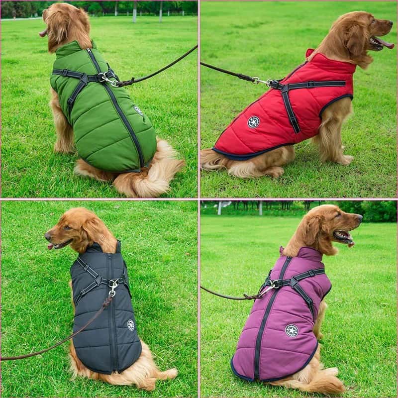 Waterproof Dog Coat | S - 5XL | Warm Fleece Lining | Harness Included | Pawberry Road