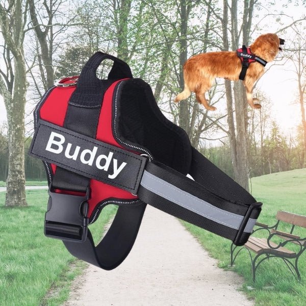 Dog Custom No Pull Harness | Reflective | XS to XXL | Adjustable Fit | Comfortable & Secure | Pawberry Road