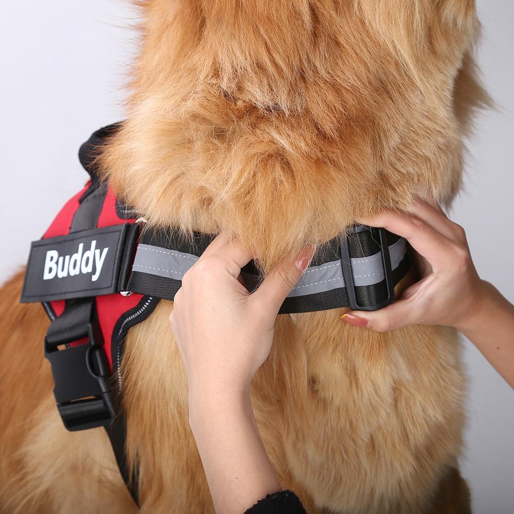Dog Custom No Pull Harness | Reflective | XS to XXL | Adjustable Fit | Comfortable & Secure | Pawberry Road